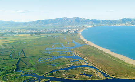 Aiguamolls de l'empordà