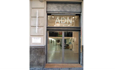 ADN Galeria