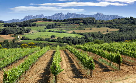 Le Penedès