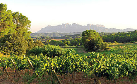 La Pla de Bages