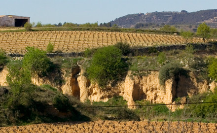 Terra Alta