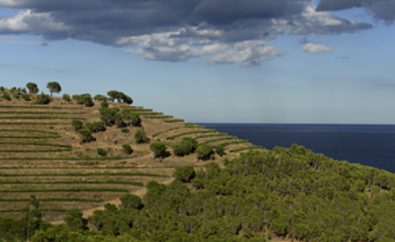 L'Empordà
