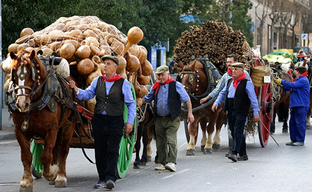 Les Festes de Sant Antoni