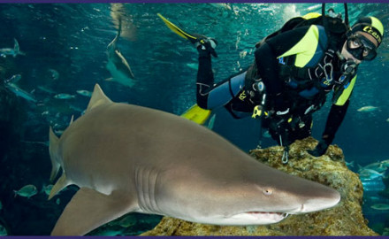 Aquarium de Barcelone