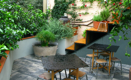 Federal Café 