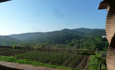 Parc de Collserola