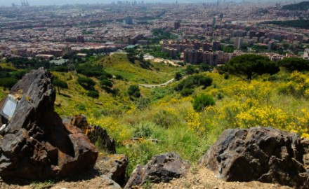 Parc de Collserola
