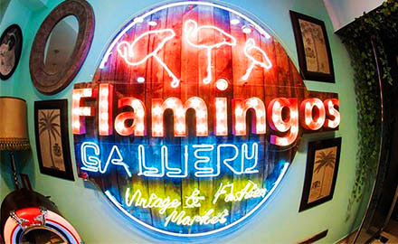 Flamingos Gallery