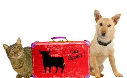 Animaux de compagnie en Espagne