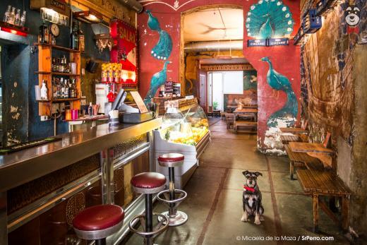 Le bar Oviso