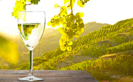 freixenet